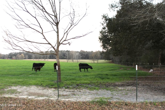 Listing photo 3 for 20ACRES Basin Refuge Rd, Lucedale MS 39452