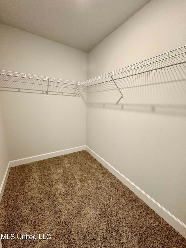 18085 Tiffany Renee Dr, Gulfport, MS 39503 - spacious closet featuring carpet floors