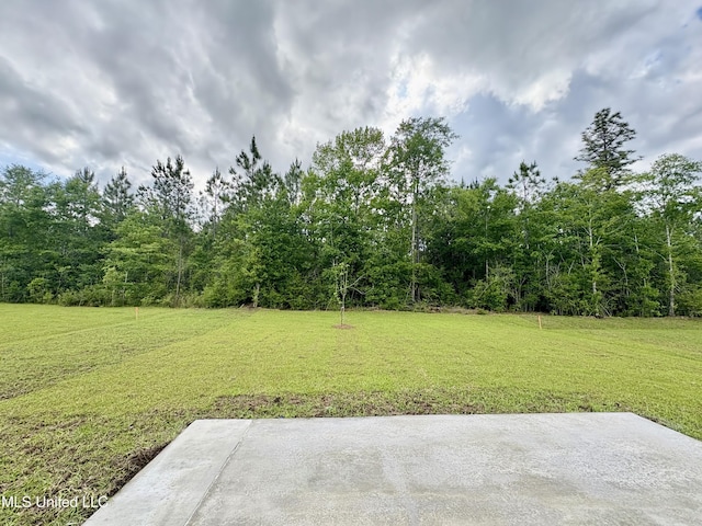 18085 Tiffany Renee Dr, Gulfport, MS 39503 - view of yard featuring a view of trees and a patio