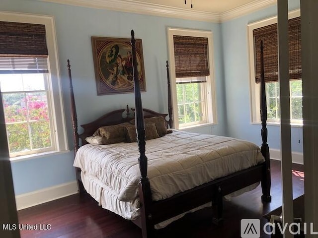 305 N Rankin St, Natchez, MS 39120 - bedroom with dark hardwood / wood-style floors, multiple windows, and ornamental molding