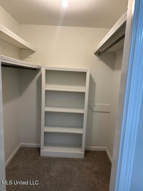 202 Kilford Ct, Madison, MS 39110 - spacious closet with dark carpet