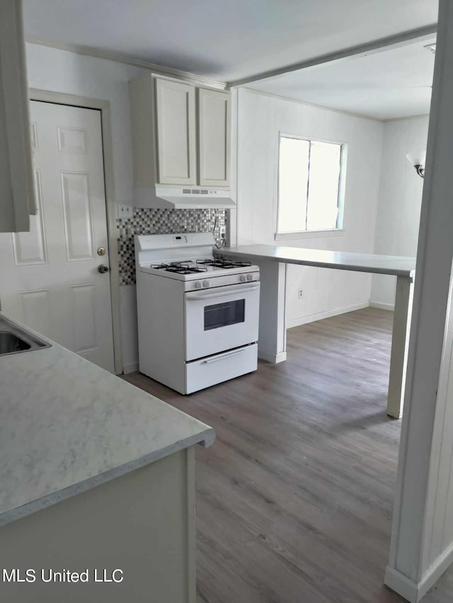 kitchen with light stone counters, under cabinet range hood, wood finished floors, tasteful backsplash, and gas range gas stove