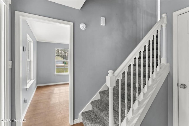 staircase with wood-type flooring