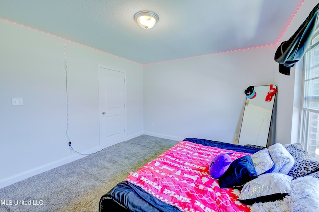 bedroom with carpet