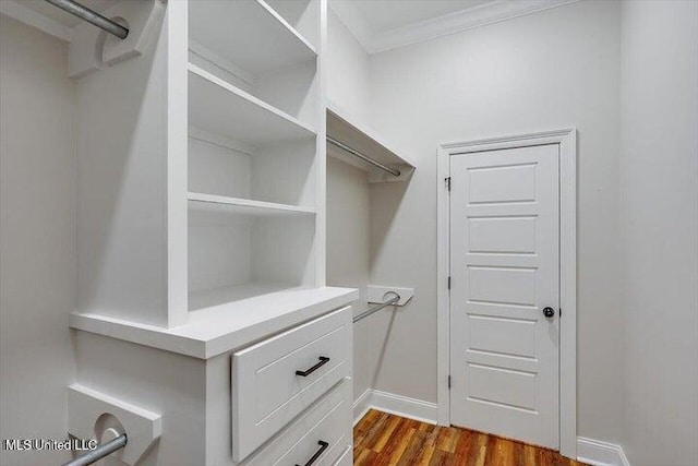 spacious closet with dark hardwood / wood-style flooring