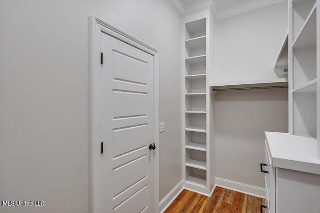 spacious closet featuring dark hardwood / wood-style floors