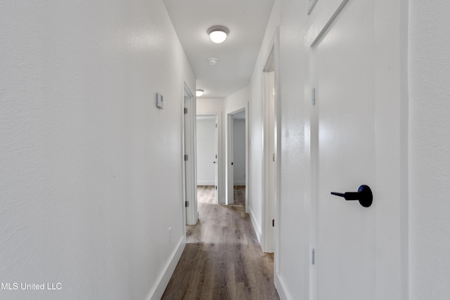 hallway featuring wood-type flooring