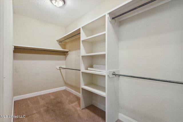 403 Chesney Ct, Madison, MS 39110 - walk in closet with carpet floors