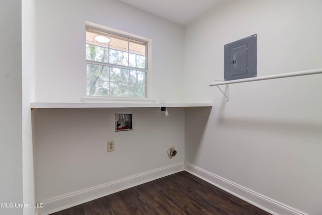 clothes washing area with hookup for a washing machine, dark hardwood / wood-style flooring, and electric panel