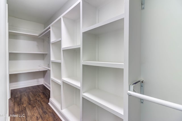 spacious closet featuring dark wood-type flooring