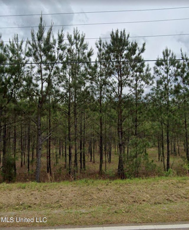 Listing photo 3 for Old Whitfield Rd, Pearl MS 39208