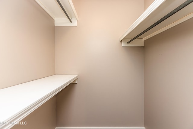 view of spacious closet