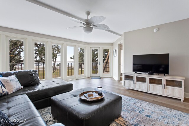 living room featuring ceiling fan and wood-type flooring