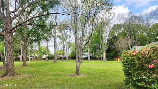 305 Creekbend Rd, Natchez, MS 39120 - view of yard