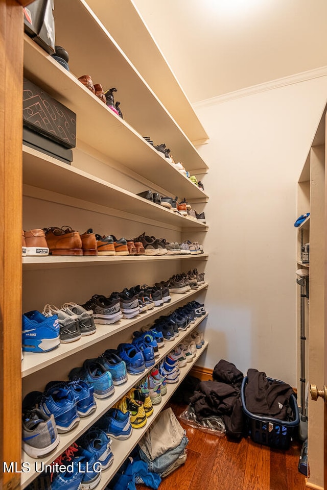 walk in closet with hardwood / wood-style floors