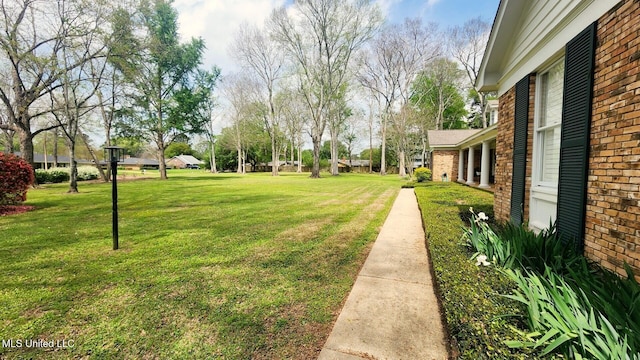 305 Creekbend Rd, Natchez, MS 39120 - view of green lawn