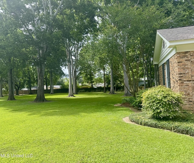 305 Creekbend Rd, Natchez, MS 39120 - view of green lawn