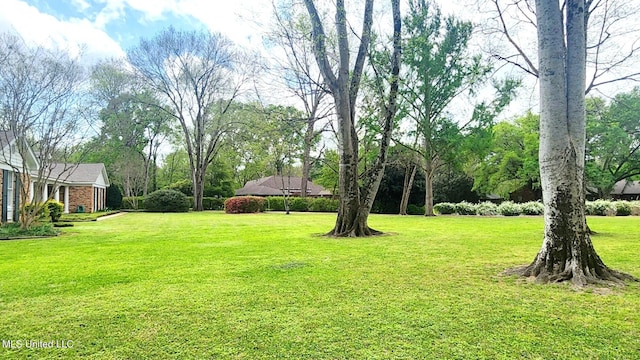 305 Creekbend Rd, Natchez, MS 39120 - view of grassy yard