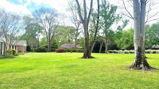 305 Creekbend Rd, Natchez, MS 39120 - view of green lawn