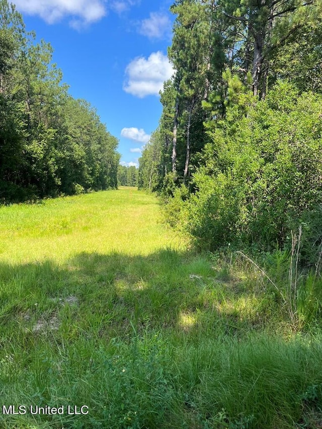 00 Shenandoah Rd, Poplarville, MS 39470
