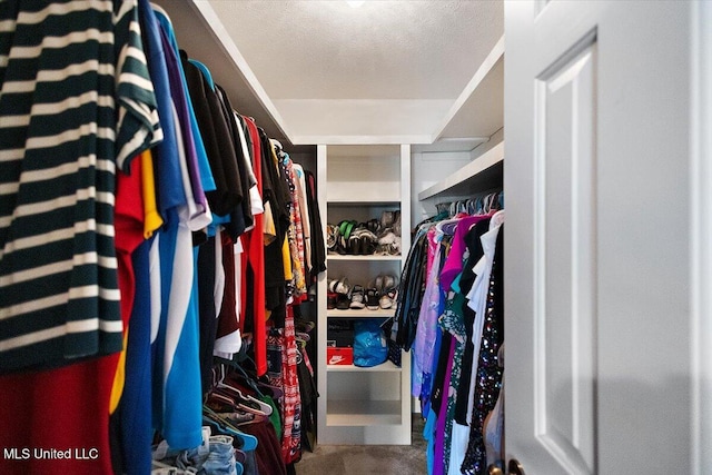 view of spacious closet