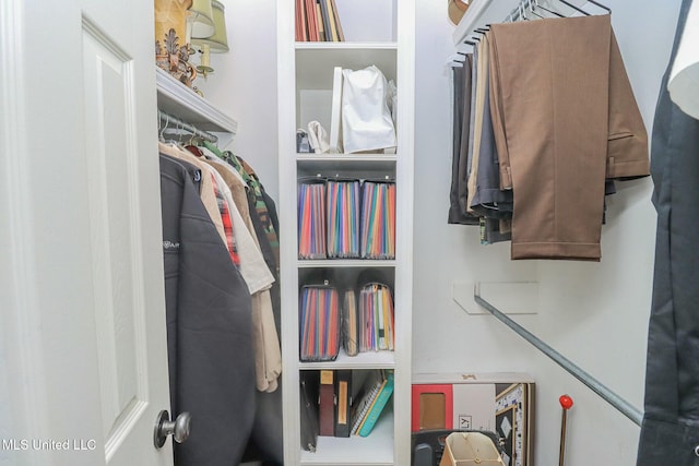 view of spacious closet