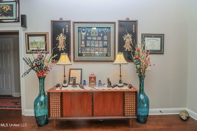 room details with wood-type flooring