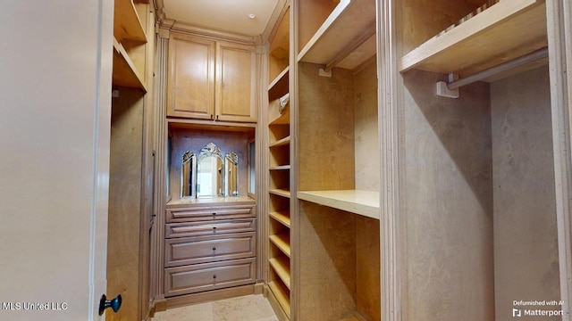 view of spacious closet