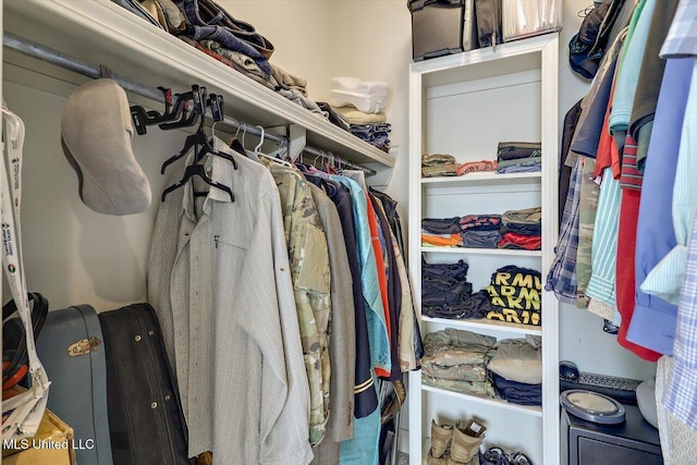 109 Bellemeade Trce, Clinton, MS 39056 - view of walk in closet