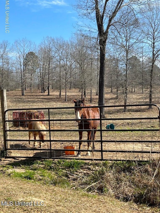 view of horse barn featuring a rural view