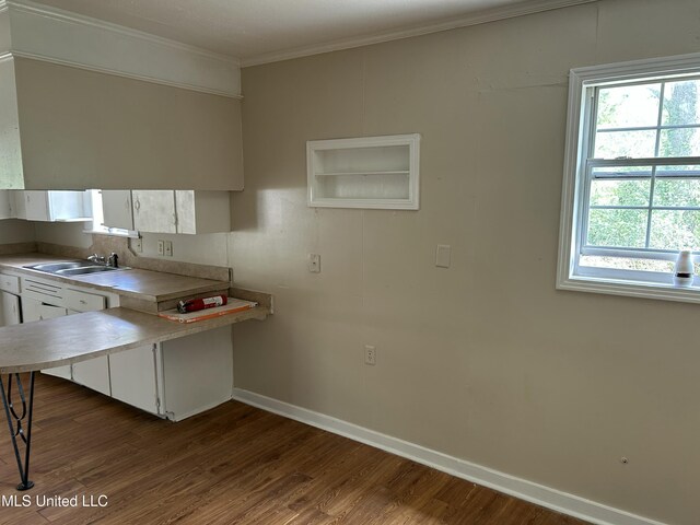 1110 Barbara Ann Dr, Jackson, MS 39204 - kitchen featuring baseboards, a sink, ornamental molding, white cabinetry, and dark wood-type flooring