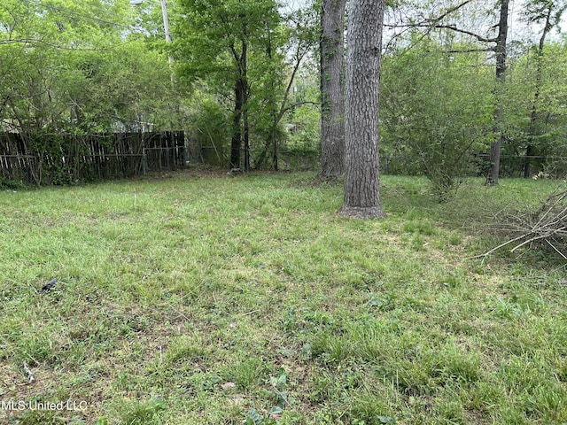1110 Barbara Ann Dr, Jackson, MS 39204 - view of yard featuring fence