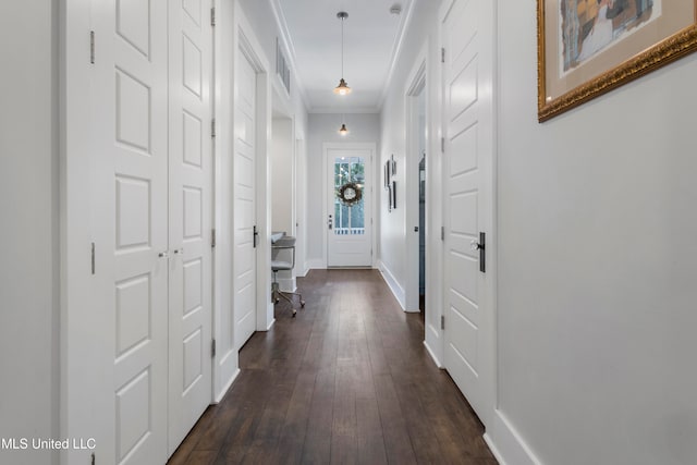 hallway with crown molding and dark wood-type flooring