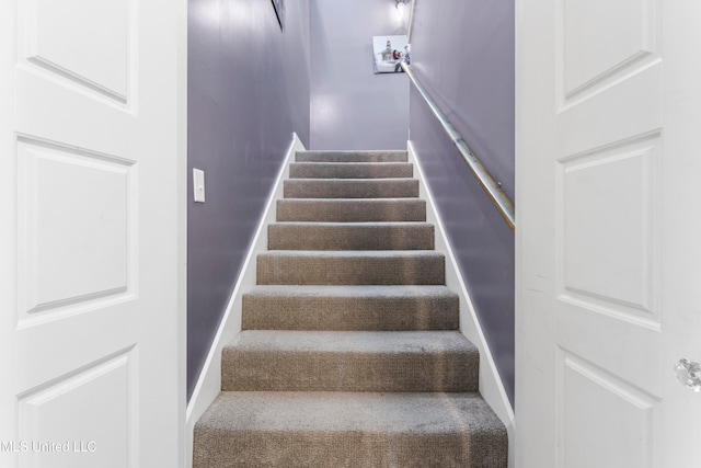 stairs with carpet flooring