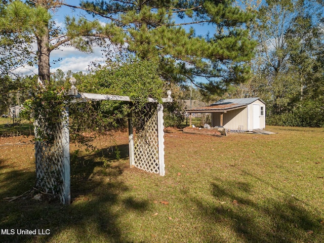 view of yard with a storage unit