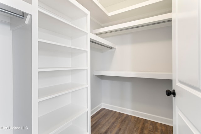 walk in closet featuring dark wood-type flooring