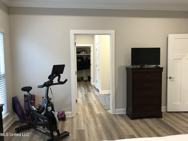 workout area with a wealth of natural light, light hardwood / wood-style flooring, and crown molding