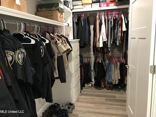 spacious closet featuring light hardwood / wood-style floors