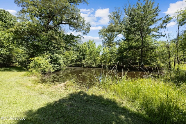 view of local wilderness with a water view