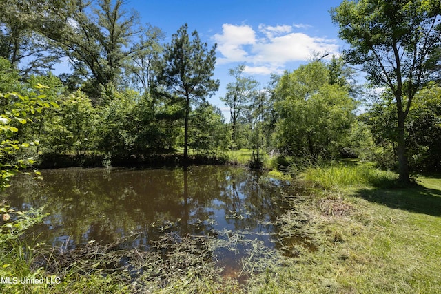 water view