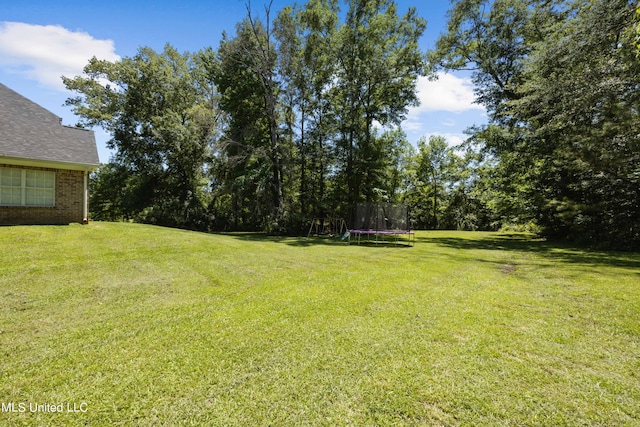 view of yard featuring a trampoline