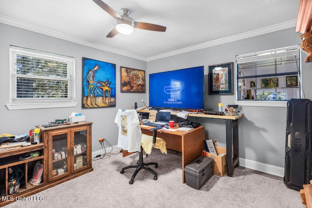 office with carpet flooring, ceiling fan, and crown molding