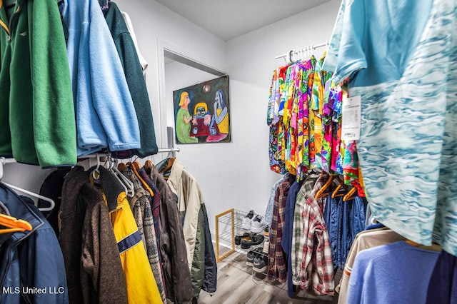 walk in closet with wood-type flooring