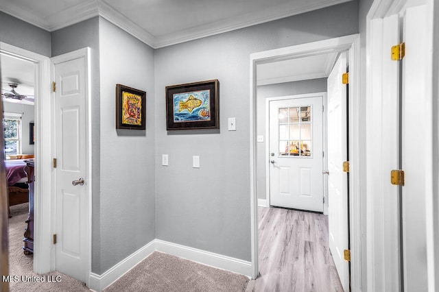 hallway with crown molding and light hardwood / wood-style floors