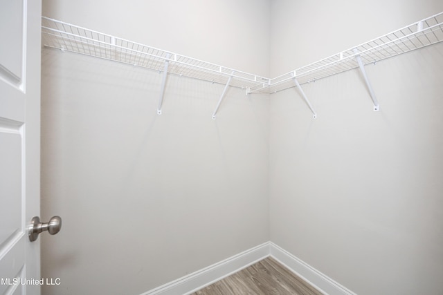 spacious closet with light wood finished floors