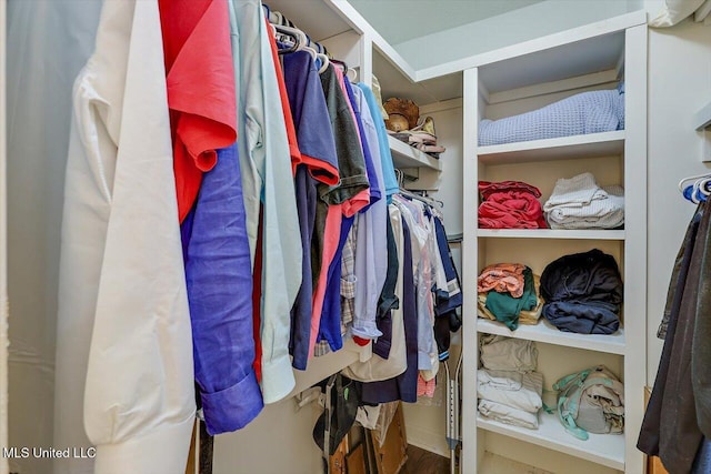 view of walk in closet