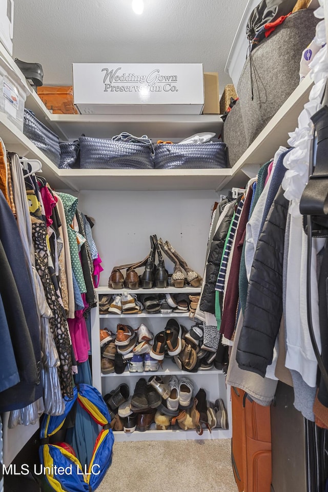 spacious closet featuring carpet floors