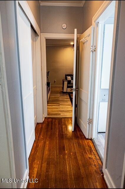 733 S College St, Grenada, MS 38901 - hallway featuring dark wood-style floors and ornamental molding