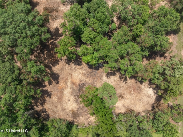 3.26ACRES Eatonville Rd, Hattiesburg, MS 39401