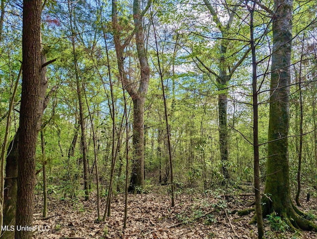 Egg Farm Rd, Poplarville, MS 39470